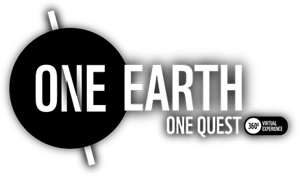 WWF awareness digital campaign visual